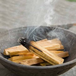Sväté drevo - Palo santo drievka na vydymovanie